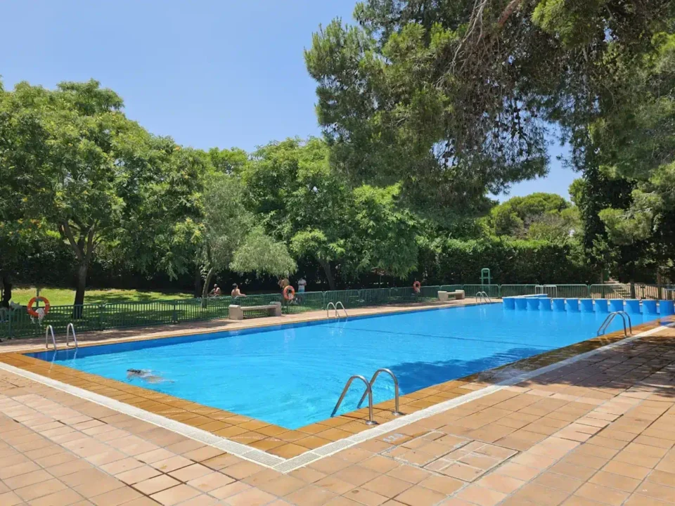 Community-Pool Reinigen