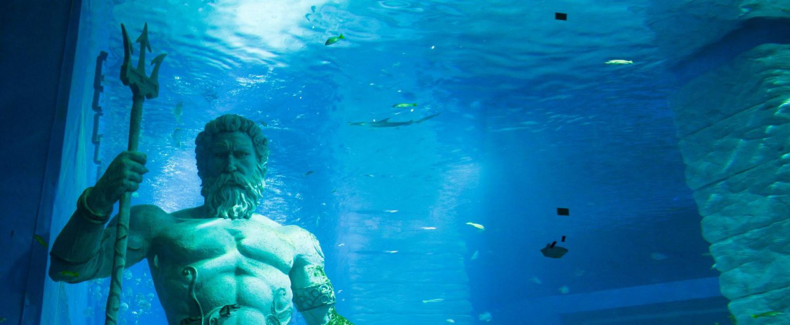 Poseidon Poolservice in Torrevieja und Orihuela Costa.